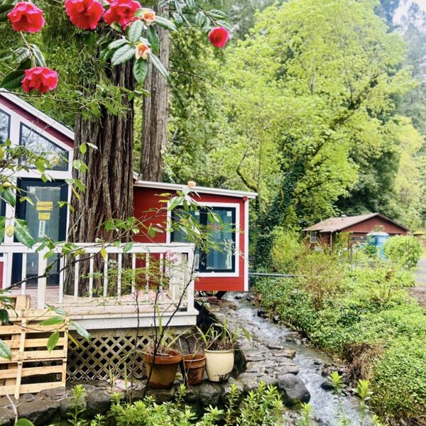 Napa County Home Remodel