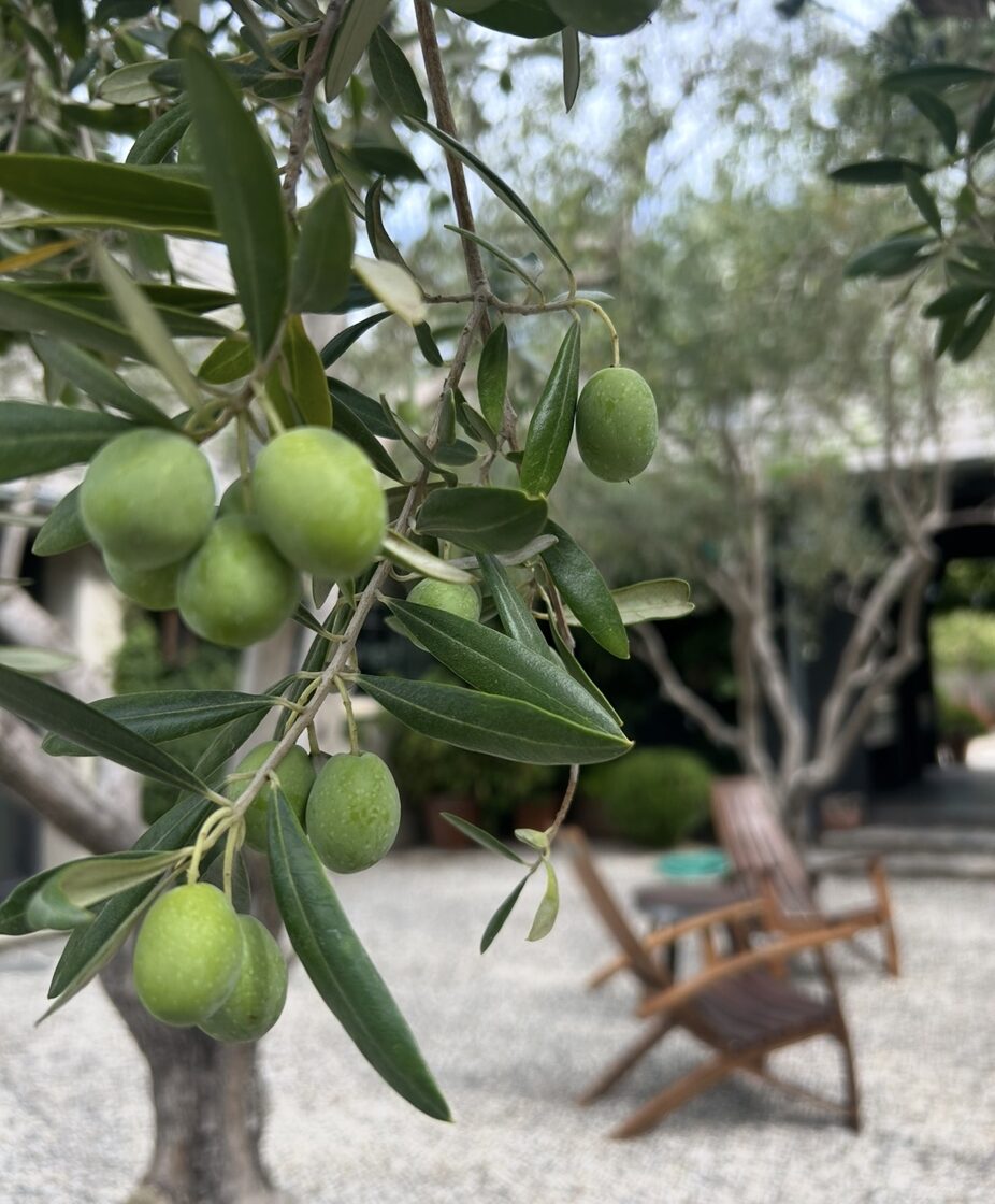 Calistoga Luxury Estate Management